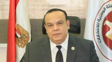 الهيئة الوطنية للانتخابات: انتخابات مجلس الشيوخ بداية أغسطس وبدء تقديم الطلبات يوم السبت القادم.