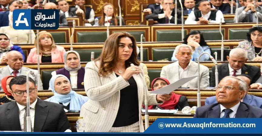 وزيرة التنمية المحلية: قدمنا تقريرًا عن قطع الأراضي المناسبة لمشاريع الإسكان في المحافظات إلى مجلس النواب