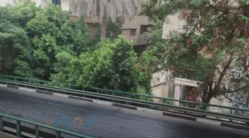 “منخفض الهند” يصل إلى مصر بأمطار صيفية.. و”الأرصاد” تحذر من تقلبات جوية