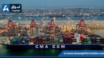 تداول 103 آلاف طن من السلع والبضائع في ميناءي الإسكندرية والدخيلة