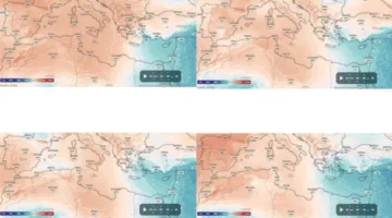 معهد علوم البحار في الإسكندرية يرفض وقوع أي زلازل أو تسونامي.