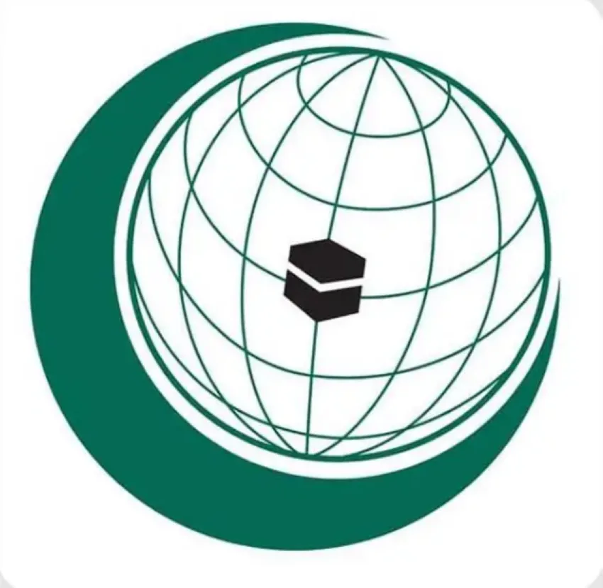 المرصد الإعلامي لمنظمة التعاون الإسلامي: معاناة الأطفال الرضع وسياسات الاستيطان تتصدر انتهاكات الاحتلال