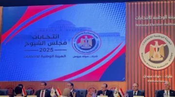 «الهيئة الوطنية للانتخابات» تكشف عن تطوير تطبيق إلكتروني للتصويت في انتخابات مجلس الشيوخ 2025