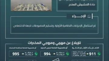حرس الحدود في جازان يوقف محاولة تهريب 30 كيلوغرامًا من الحشيش المخدر