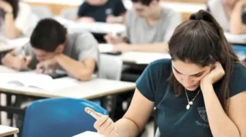 تحقق الآن من نتائج الدبلومات الفنية 2025 للدور الأول.. روابط وإرشادات