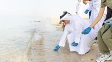 البيئة تطلق حملة لإعادة صغار السلاحف إلى شاطئ فويرط