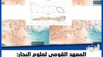 المعهد القومي لعلوم البحار يعلن عدم وجود نشاط زلزالي يمكن أن يؤدي إلى تسونامي