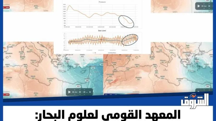 المعهد القومي لعلوم البحار يعلن عدم وجود نشاط زلزالي يمكن أن يؤدي إلى تسونامي