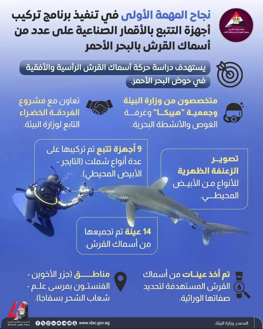 عاجل.. ما هي الطرق التي اعتمدتها مصر لرصد أسماك القرش في البحر الأحمر؟ عاجل.. ما هي الطرق التي اعتمدتها مصر لرصد أسماك القرش في البحر الأحمر؟