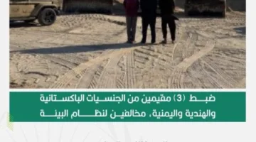 إلقاء القبض على ثلاثة مقيمين مخالفين لقوانين البيئة بسبب استغلالهم للموارد في الشرقية