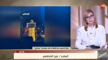 عزيز الشافعي يتحدث عن مشكلة حفل شيرين والاتهامات الموجهة لأنغام