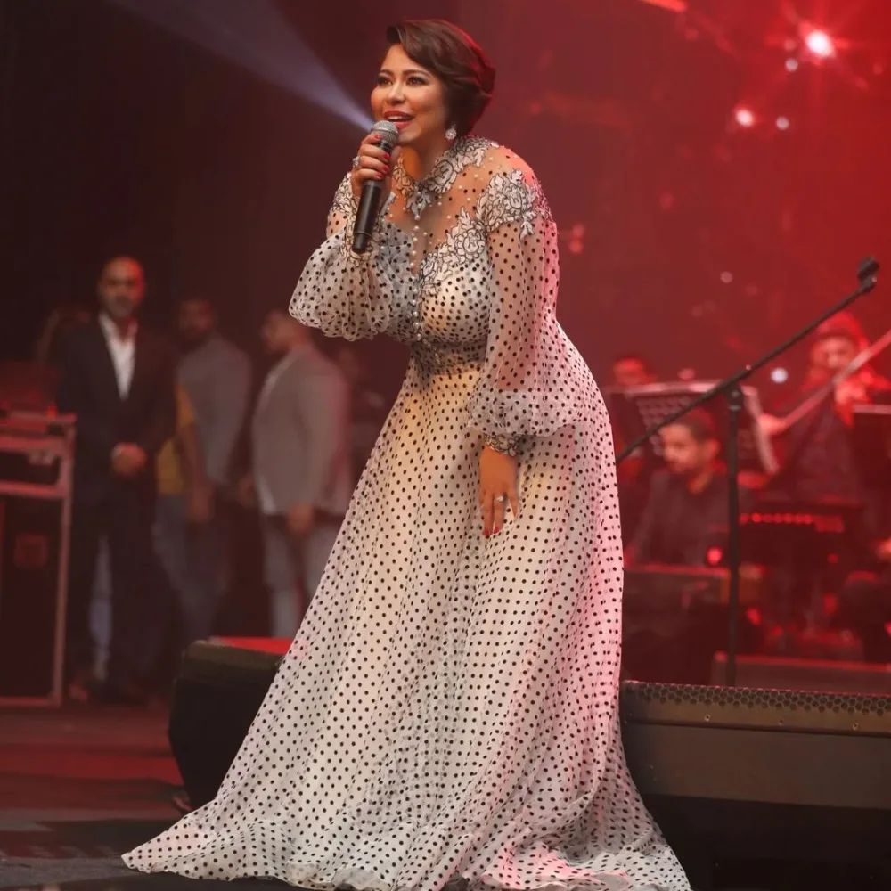 طبيب شيرين يكشف الأسرار وراء اللحظات الصعبة قبل ظهورها على المسرح | فيديو جرافيك