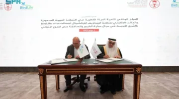 تعاون بين الهيئة العامة للحياة الفطرية ومنظمة بيريلايف العالمية