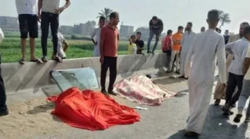 بعد حادث الطريق الإقليمي في المنوفية: 5 مطالب ملحة من العاملين في قطاع النقل البري