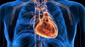 احفظ قلبك: 5 عادات يومية تقيك من الإصابة بأزمات قلبية