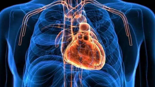 احفظ قلبك: 5 عادات يومية تقيك من الإصابة بأزمات قلبية احفظ قلبك: 5 عادات يومية تقيك من الإصابة بأزمات قلبية