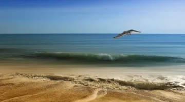 هل تسبب ارتفاع أمواج البحر المتوسط في إغلاق الشواطئ؟.. الأرصاد توضح | فيديو