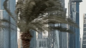 هيئة الأرصاد تنبه من رياح شديدة ورؤية أفقية ضعيفة.. ودرجات الحرارة قد تصل إلى 43 مئوية.
