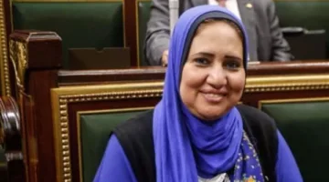 النائبة سحر صدقي: إعلان 3 يوليو حمى رغبة الشعب المصري وأسس لجمهورية جديدة