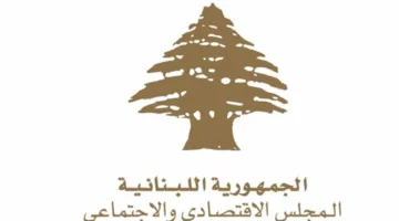 أحدث التطورات من المجلس الاقتصادي الاجتماعي… يقدمها لنا مراسل الجديد.