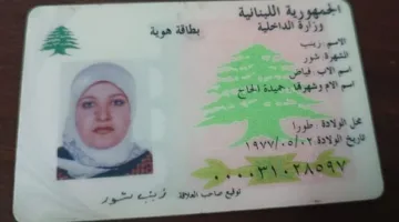 هوية غير واضحة في صور السيدة زينب فياض شور