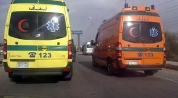 عشر إصابات نتيجة انقلاب ميكروباص في أسوان