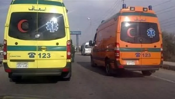 عشر إصابات نتيجة انقلاب ميكروباص في أسوان