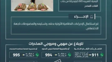 حرس الحدود في جازان يتمكن من القبض على مخالف لنظام الأمن الحدودي لتهريبه 60 كيلوغرامًا من نبتة القات المخدرة.