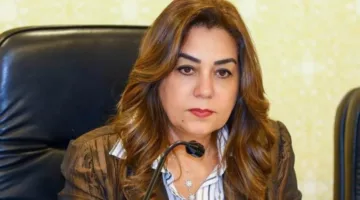 التنمية المحلية: إجمالي الأراضي يصل إلى حوالي 1298 قطعة بمساحة 61 مليون متر مربع تحت إدارة المحافظات.