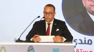 قيادي في “مستقبل وطن”: “الهيئة الوطنية للانتخابات” مثال على التنظيم والشفافية ودعم الديمقراطية