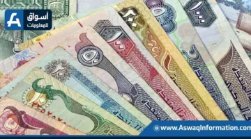 ضبط قضايا تهريب عملات أجنبية بقيمة 4 ملايين جنيه