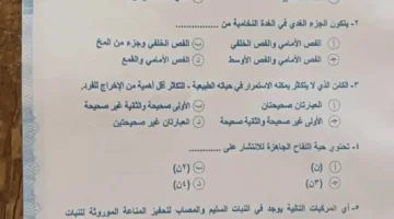 إجابة امتحان مادة الأحياء للثانوية الأزهرية 2025 تخصص علمي (فيديو وصور)