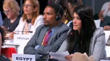 المشاط: التمويل ليس كافياً بمفرده.. نحتاج إلى تعزيز قدرات الدول لسد فجوة التنمية.