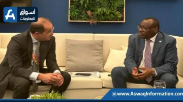 وزير المالية: إفريقيا تتطلب استراتيجيات تمويل جديدة لمواجهة أزمة الديون وتحقيق التنمية المستدامة