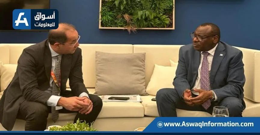 وزير المالية: إفريقيا تتطلب استراتيجيات تمويل جديدة لمواجهة أزمة الديون وتحقيق التنمية المستدامة وزير المالية: إفريقيا تتطلب استراتيجيات تمويل جديدة لمواجهة أزمة الديون وتحقيق التنمية المستدامة