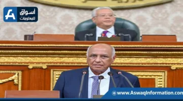 مجلس النواب يوافق على الاتفاقية الخاصة بالسوق المشتركة للكهرباء في الدول العربية
