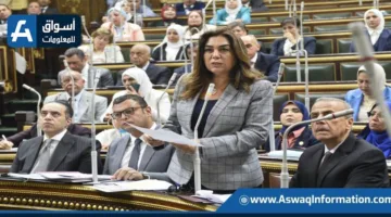 وزيرة التنمية المحلية: 1298 قطعة أرض مناسبة لإنشاء مشاريع سكنية في المحافظات
