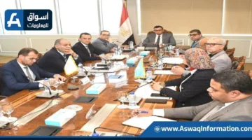 وزير الإسكان يتفقد المشروعات التنموية الجاري تنفيذها في السويس الجديدة