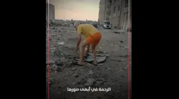 طفلة ووالدها يقومان بإنقاذ كلب من الغرق في كفر الشيخ (فيديو)