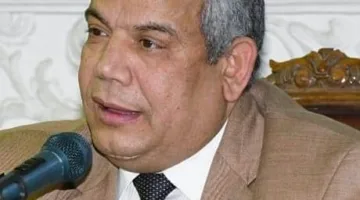 ثورة 30 يونيو: استعادة الحيوية في العلاقات المصرية الإفريقية