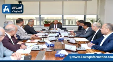 يشمل المترو والمونوريل: وزير النقل يراقب تقدم عدة مشاريع مشتركة مع شركة “ألستوم” الفرنسية.