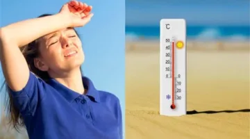 عاجل.. تحديثات حالة الطقس في مصر اليوم الجمعة.. الأرصاد تؤكد آخر المستجدات