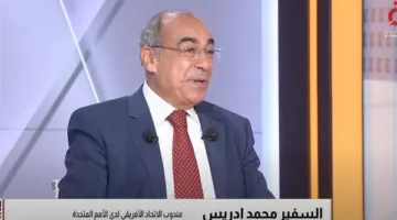 “إدريس”: مساعي متزايدة لتعزيز التضامن الأفريقي في الساحات العالمية
