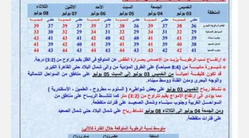 الأرصاد الجوية: الخميس يشهد حرارة مرتفعة خلال النهار وضباب كثيف في الصباح شمال البلاد