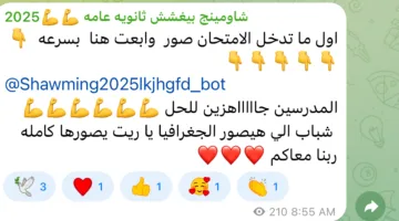 توزيع امتحانات الكيمياء والجغرافيا للثانوية العامة 2025 على منصات الغش