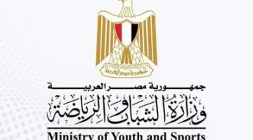 وزارة الشباب والرياضة تعلن عن استمرار تقديم الدعم للأندية الشعبية والجماهيرية.. التفاصيل هنا