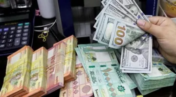 ضبط متاجرين في العملات الأجنبية بمبالغ تفوق 6 ملايين جنيه خلال 24 ساعة