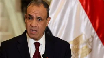 وزير الخارجية المصري يؤكد لنظيره السوري رفض مصر التام للاعتداءات الإسرائيلية على السيادة السورية