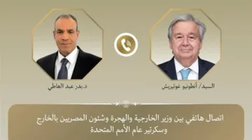 مكالمة هاتفية بين وزير الخارجية والهجرة والأمين العام للأمم المتحدة.. تفاصيل.