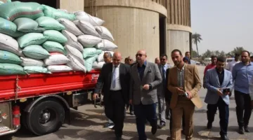 توريد 281,355 طن من القمح إلى صوامع بني سويف حتى الآن